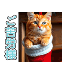 飛び出す★冬を感じる茶トラ猫_挨拶（個別スタンプ：7）