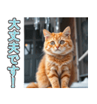 飛び出す★冬を感じる茶トラ猫_挨拶（個別スタンプ：11）