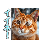 飛び出す★冬を感じる茶トラ猫_挨拶（個別スタンプ：12）