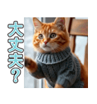 飛び出す★冬を感じる茶トラ猫_挨拶（個別スタンプ：15）