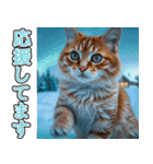 飛び出す★冬を感じる茶トラ猫_挨拶（個別スタンプ：17）