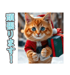 飛び出す★冬を感じる茶トラ猫_挨拶（個別スタンプ：18）