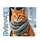 飛び出す★冬を感じる茶トラ猫_挨拶（個別スタンプ：21）
