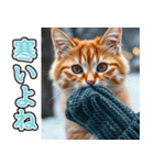 飛び出す★冬を感じる茶トラ猫_挨拶（個別スタンプ：22）