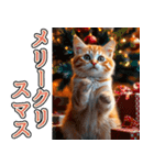 飛び出す★冬を感じる茶トラ猫_挨拶（個別スタンプ：23）
