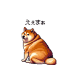 控え目表現な太っちょ柴犬（個別スタンプ：1）