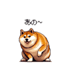 控え目表現な太っちょ柴犬（個別スタンプ：4）