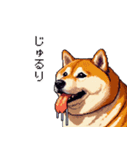 控え目表現な太っちょ柴犬（個別スタンプ：7）