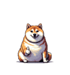 控え目表現な太っちょ柴犬（個別スタンプ：9）