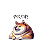 控え目表現な太っちょ柴犬（個別スタンプ：10）