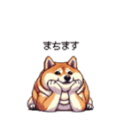 控え目表現な太っちょ柴犬（個別スタンプ：12）