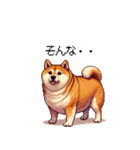 控え目表現な太っちょ柴犬（個別スタンプ：14）