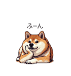 控え目表現な太っちょ柴犬（個別スタンプ：15）