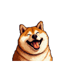 控え目表現な太っちょ柴犬（個別スタンプ：17）