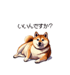 控え目表現な太っちょ柴犬（個別スタンプ：18）