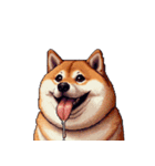 控え目表現な太っちょ柴犬（個別スタンプ：19）