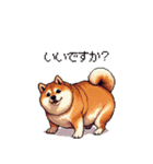 控え目表現な太っちょ柴犬（個別スタンプ：20）
