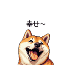 控え目表現な太っちょ柴犬（個別スタンプ：22）