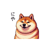 控え目表現な太っちょ柴犬（個別スタンプ：23）