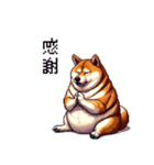 控え目表現な太っちょ柴犬（個別スタンプ：24）