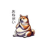 控え目表現な太っちょ柴犬（個別スタンプ：25）