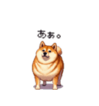 控え目表現な太っちょ柴犬（個別スタンプ：27）