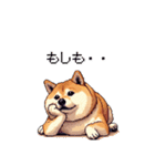 控え目表現な太っちょ柴犬（個別スタンプ：28）