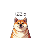 控え目表現な太っちょ柴犬（個別スタンプ：30）