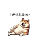 控え目表現な太っちょ柴犬（個別スタンプ：34）