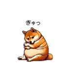 控え目表現な太っちょ柴犬（個別スタンプ：35）