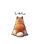 控え目表現な太っちょ柴犬（個別スタンプ：40）