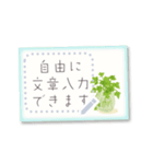書き込める♡観葉植物カード（個別スタンプ：15）