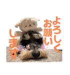 シュナウザーでん六（個別スタンプ：16）