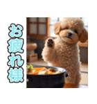 背景が動く★冬を感じるトイプードル_挨拶（個別スタンプ：6）