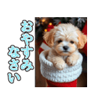 背景が動く★冬を感じるトイプードル_挨拶（個別スタンプ：8）