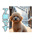 背景が動く★冬を感じるトイプードル_挨拶（個別スタンプ：9）