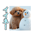 背景が動く★冬を感じるトイプードル_挨拶（個別スタンプ：12）