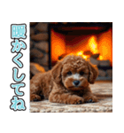 背景が動く★冬を感じるトイプードル_挨拶（個別スタンプ：21）