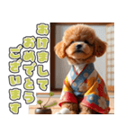 背景が動く★冬を感じるトイプードル_挨拶（個別スタンプ：24）