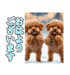 飛び出す★冬を感じるトイプードル_挨拶（個別スタンプ：2）