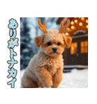 飛び出す★冬を感じるトイプードル_挨拶（個別スタンプ：3）