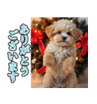飛び出す★冬を感じるトイプードル_挨拶（個別スタンプ：4）