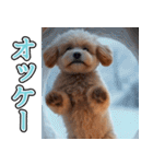 飛び出す★冬を感じるトイプードル_挨拶（個別スタンプ：10）