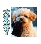 飛び出す★冬を感じるトイプードル_挨拶（個別スタンプ：15）