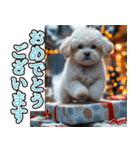 飛び出す★冬を感じるトイプードル_挨拶（個別スタンプ：16）