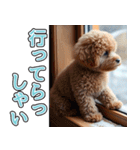 飛び出す★冬を感じるトイプードル_挨拶（個別スタンプ：19）