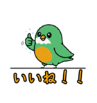 ぽてぽて！緑の鳥（個別スタンプ：17）