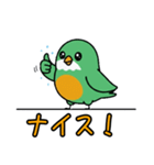 ぽてぽて！緑の鳥（個別スタンプ：18）