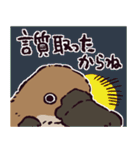 カモノハシです。（個別スタンプ：5）