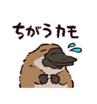 カモノハシです。（個別スタンプ：10）